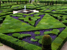 France-Loire-On Kings' steps in the Loire Valley